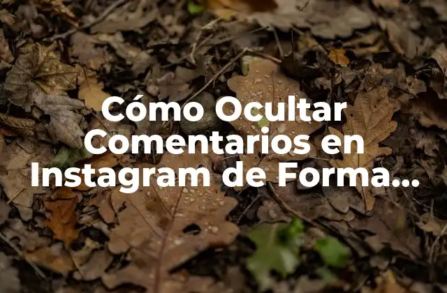 Cómo Ocultar Comentarios en Instagram de Forma Permanente - Guía Completa 2 ¿Por qué Ocultar Comentarios en Instagram es Importante?