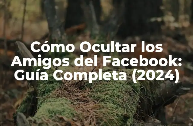Cómo Ocultar los Amigos Del Facebook: Guía Completa (2024) 2 ¿Por qué Ocultar los Amigos del Facebook es Importante?