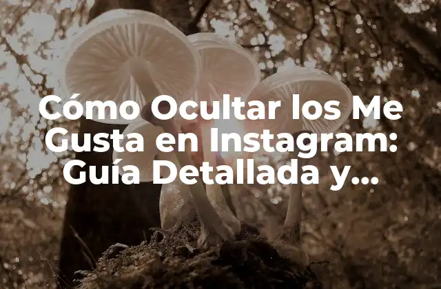 Cómo Ocultar los Me Gusta en Instagram: Guía Detallada y Actualizada
