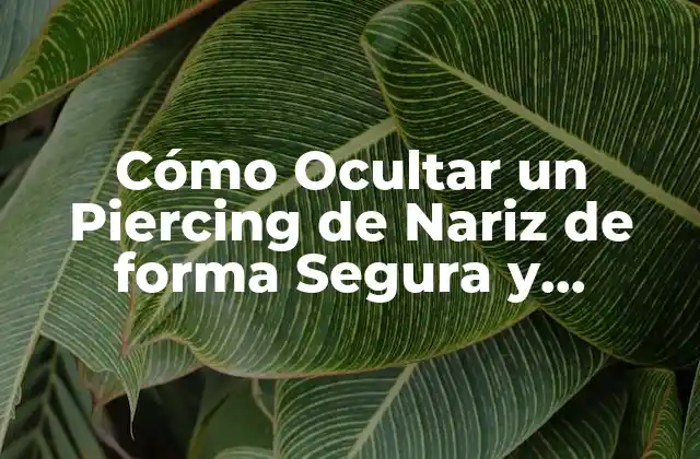 Cómo Ocultar un Piercing de Nariz de Forma Segura y Efectiva