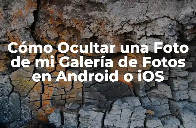 Cómo Ocultar una Foto de Mi Galería de Fotos en Android o Ios
