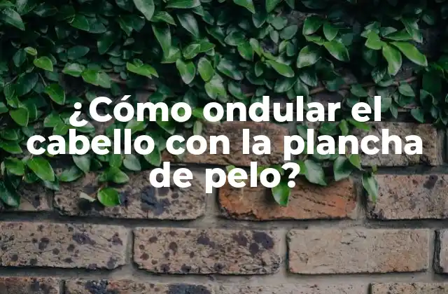 ¿cómo Ondular el Cabello con la Plancha de Pelo?