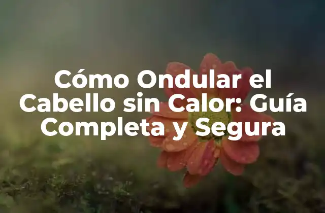 Cómo Ondular el Cabello sin Calor: Guía Completa y Segura
