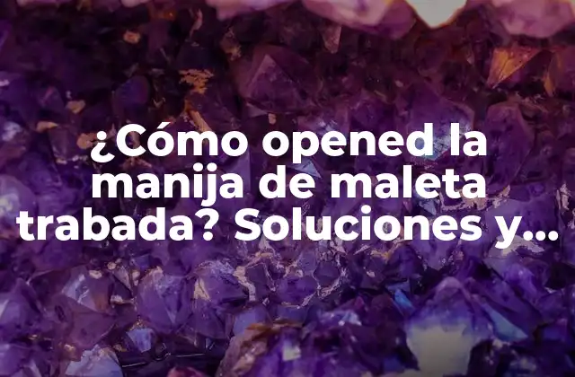¿cómo Opened la Manija de Maleta Trabada? Soluciones y Consejos Prácticos 2 Causas comunes de la manija de maleta trabada