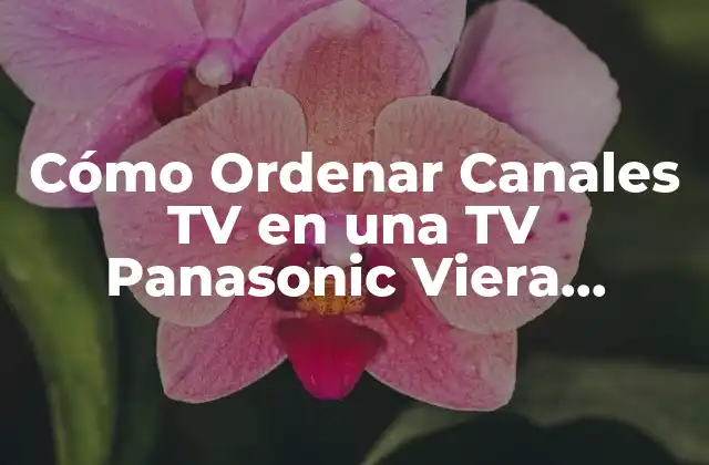 Cómo Ordenar Canales Tv en una Tv Panasonic Viera Antigua