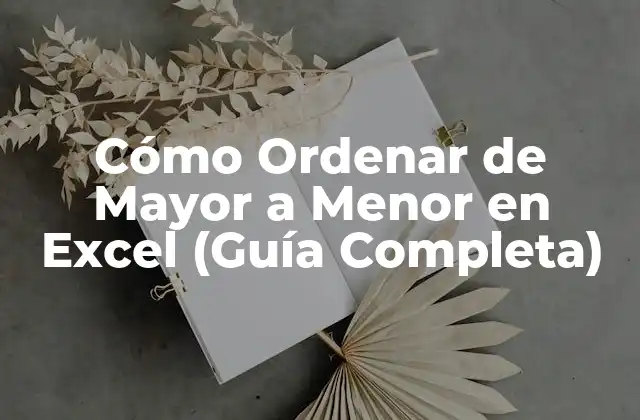 Cómo Ordenar de Mayor a Menor en Excel (guía Completa)