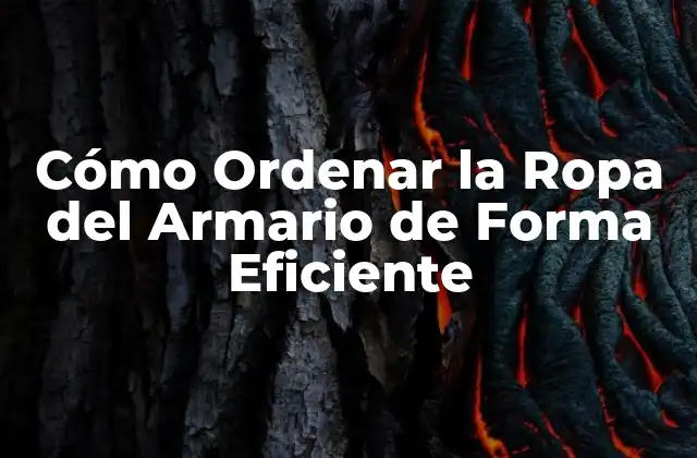 Cómo Ordenar la Ropa Del Armario de Forma Eficiente 2 Ventajas de Ordenar la Ropa del Armario