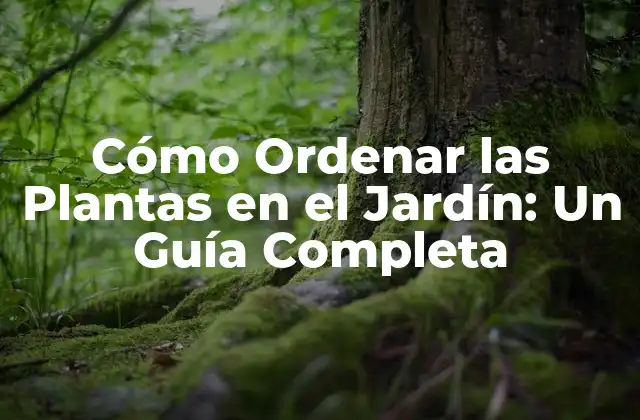 Cómo Ordenar las Plantas en el Jardín: un Guía Completa