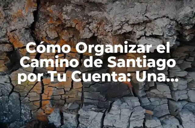 Cómo Organizar el Camino de Santiago por Tu Cuenta: una Guía Detallada