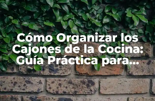 Cómo Organizar los Cajones de la Cocina: Guía Práctica para Maximizar el Espacio