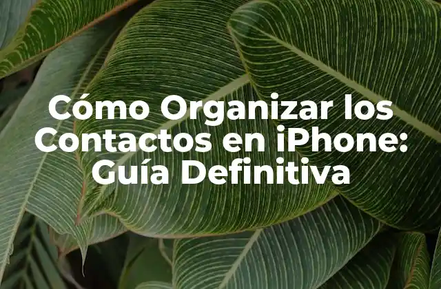 Cómo Organizar los Contactos en Iphone: Guía Definitiva