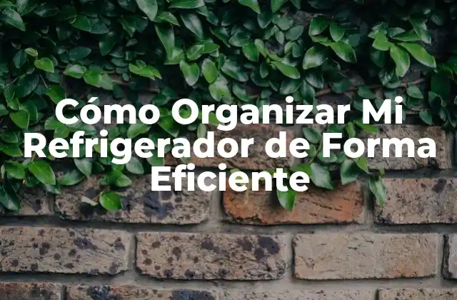 Cómo Organizar Mi Refrigerador de Forma Eficiente