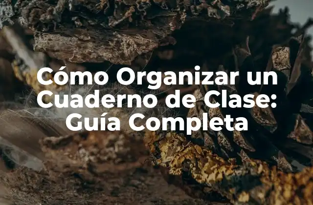 Cómo Organizar un Cuaderno de Clase: Guía Completa