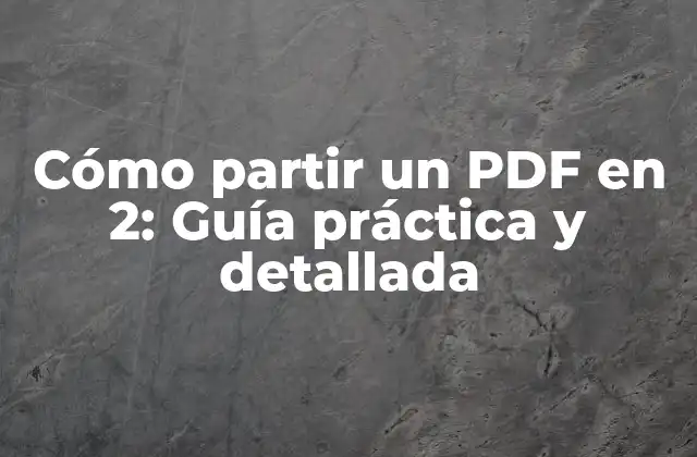 Razones para partir un PDF en 2