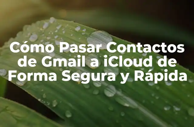 Cómo Pasar Contactos de Gmail a Icloud de Forma Segura y Rápida