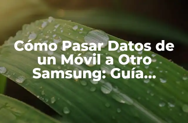 Cómo Pasar Datos de un Móvil a Otro Samsung: Guía Completa