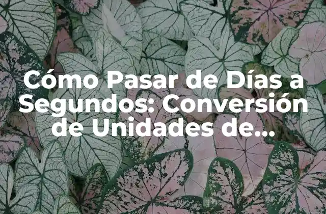 Cómo Pasar de Días a Segundos: Conversión de Unidades de Tiempo 2 ¿Por qué Es Importante la Conversión de Unidades de Tiempo?