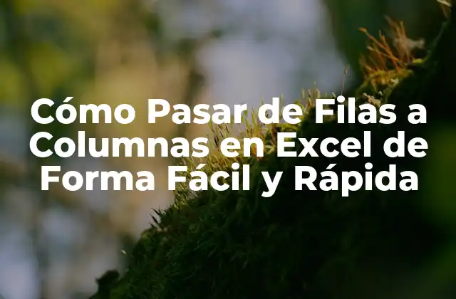 Cómo Pasar de Filas a Columnas en Excel de Forma Fácil y Rápida