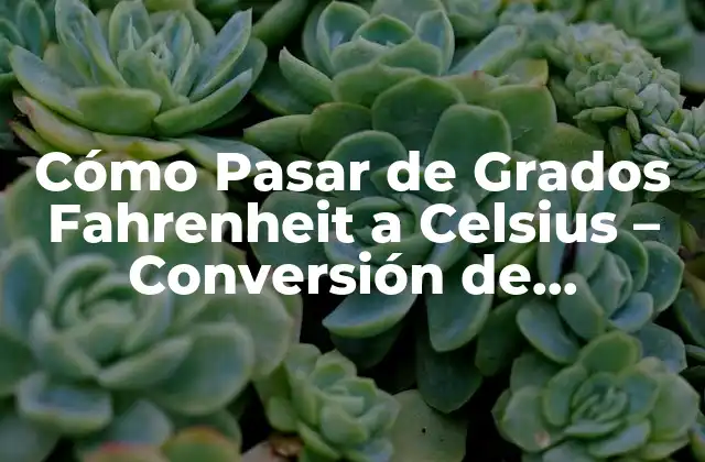 Cómo Pasar de Grados Fahrenheit a Celsius – Conversión de Temperatura