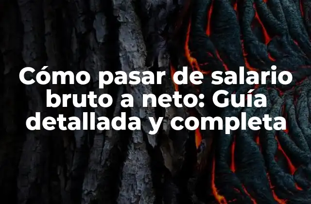 ¿Qué es el salario bruto?