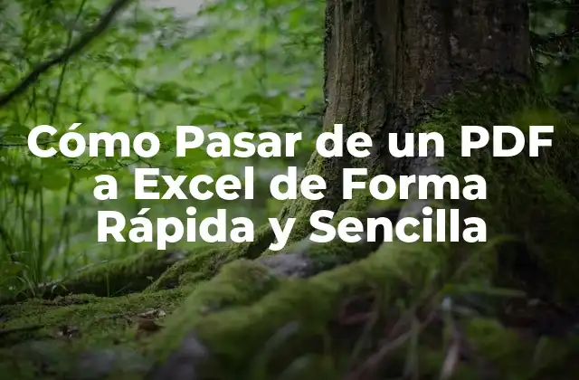 Cómo Pasar de un Pdf a Excel de Forma Rápida y Sencilla