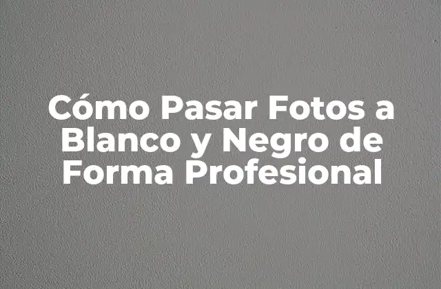 Cómo Pasar Fotos a Blanco y Negro de Forma Profesional