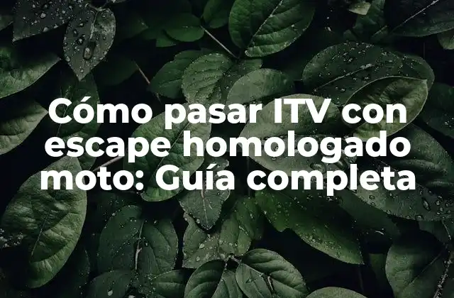 Cómo Pasar Itv con Escape Homologado Moto: Guía Completa 2 ¿Qué es un escape homologado para moto?