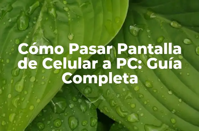 Cómo Pasar Pantalla de Celular a Pc: Guía Completa 2 ¿Por qué Pasar Pantalla de Celular a PC es Importante?