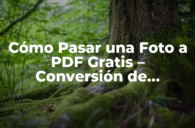 Cómo Pasar una Foto a Pdf Gratis – Conversión de Imágenes a Documentos