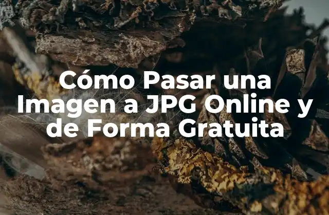 Cómo Pasar una Imagen a Jpg Online y de Forma Gratuita