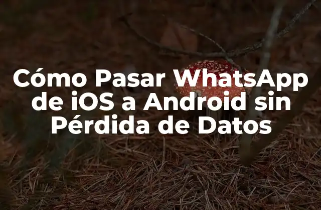 Cómo Pasar Whatsapp de Ios a Android sin Pérdida de Datos