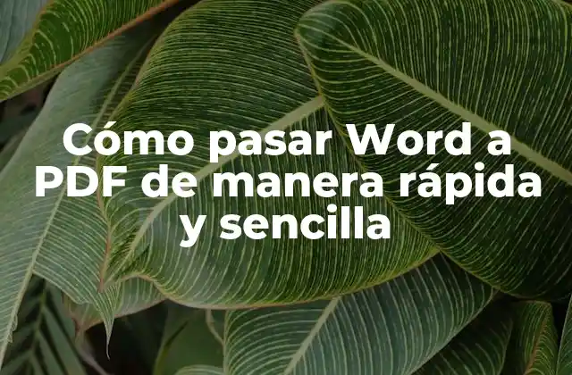 ¿Por qué es importante pasar Word a PDF?