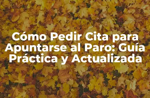 Cómo Pedir Cita para Apuntarse Al Paro: Guía Práctica y Actualizada