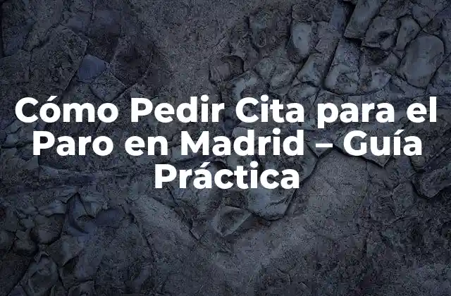 Cómo Pedir Cita para el Paro en Madrid – Guía Práctica