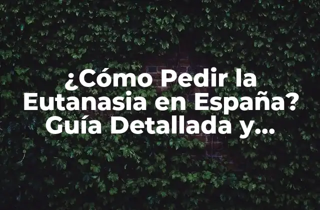 ¿cómo Pedir la Eutanasia en España? Guía Detallada y Actualizada