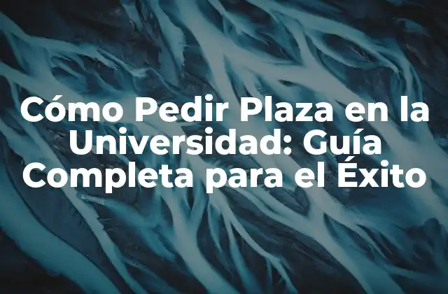 Cómo Pedir Plaza en la Universidad: Guía Completa para el Éxito