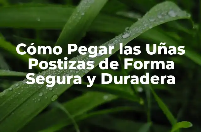 Cómo Pegar las Uñas Postizas de Forma Segura y Duradera