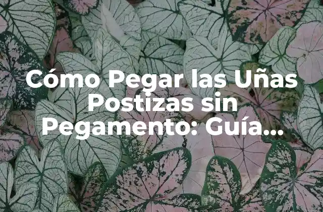 Cómo Pegar las Uñas Postizas sin Pegamento: Guía Completa y Segura
