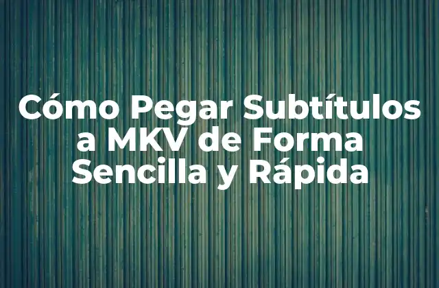 Cómo Pegar Subtítulos a Mkv de Forma Sencilla y Rápida
