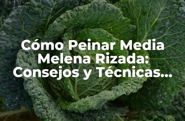 Características de la Media Melena Rizada