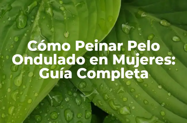 Cómo Peinar Pelo Ondulado en Mujeres: Guía Completa 2 Tipos de Pelo Ondulado en Mujeres
