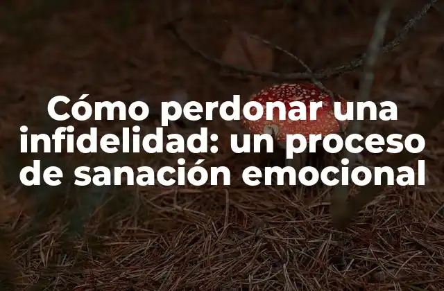 Cómo Perdonar una Infidelidad: un Proceso de Sanación Emocional