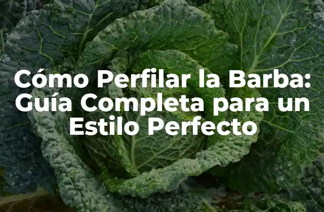 Cómo Perfilar la Barba: Guía Completa para un Estilo Perfecto