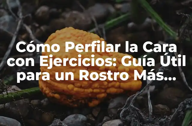 Cómo Perfilar la Cara con Ejercicios: Guía Útil para un Rostro Más Definido