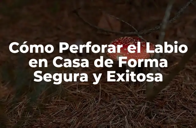 Cómo Perforar el Labio en Casa de Forma Segura y Exitosa