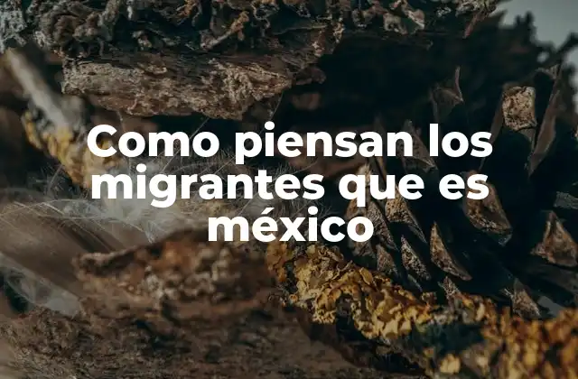 Como Piensan los Migrantes que es México