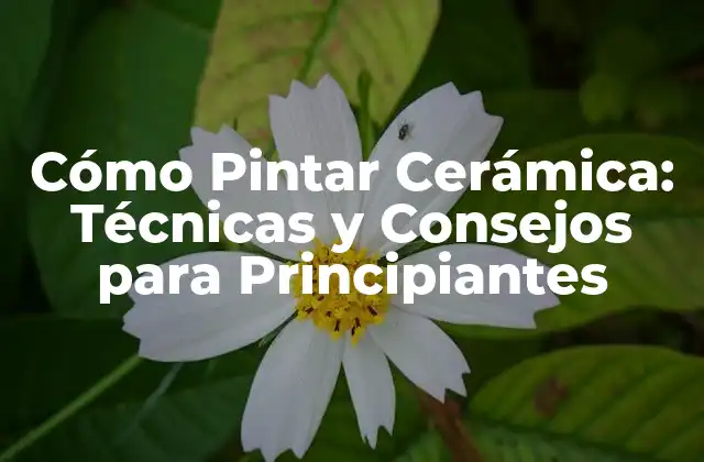 Cómo Pintar Cerámica: Técnicas y Consejos para Principiantes