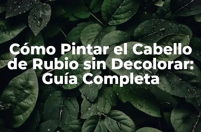 Cómo Pintar el Cabello de Rubio sin Decolorar: Guía Completa