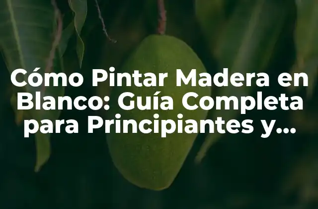 Preparación de la Madera para Pintar