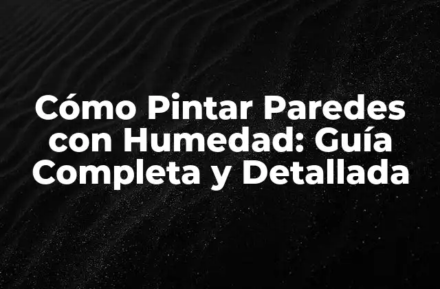 Cómo Pintar Paredes con Humedad: Guía Completa y Detallada 2 Identificar la Fuente de la Humedad